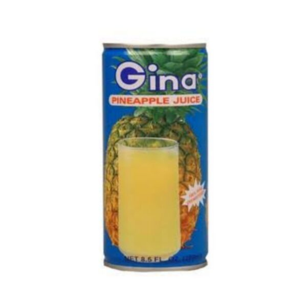 Jus d'Ananas Gina 250ml