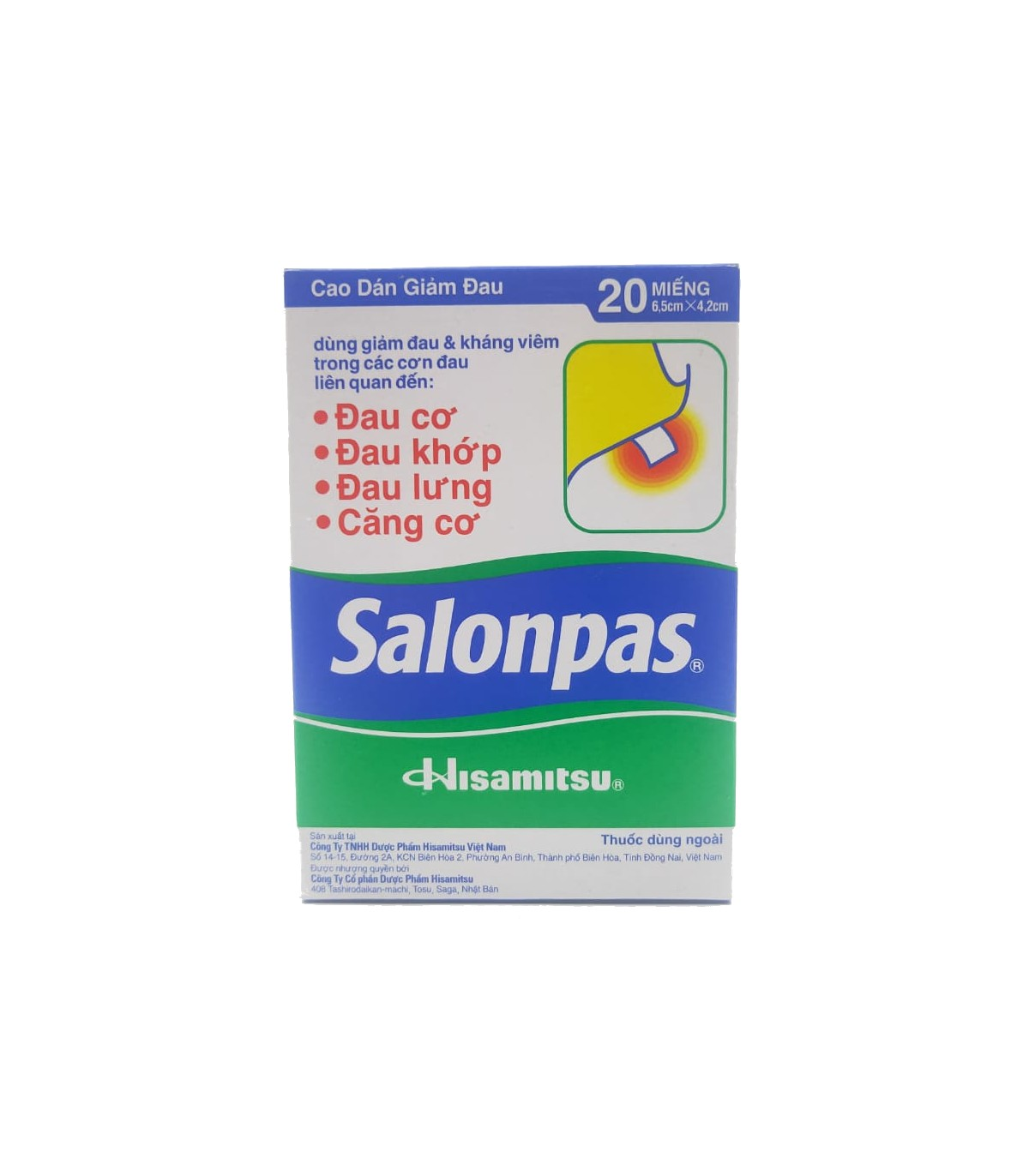 Salonpas Plaster 20’s